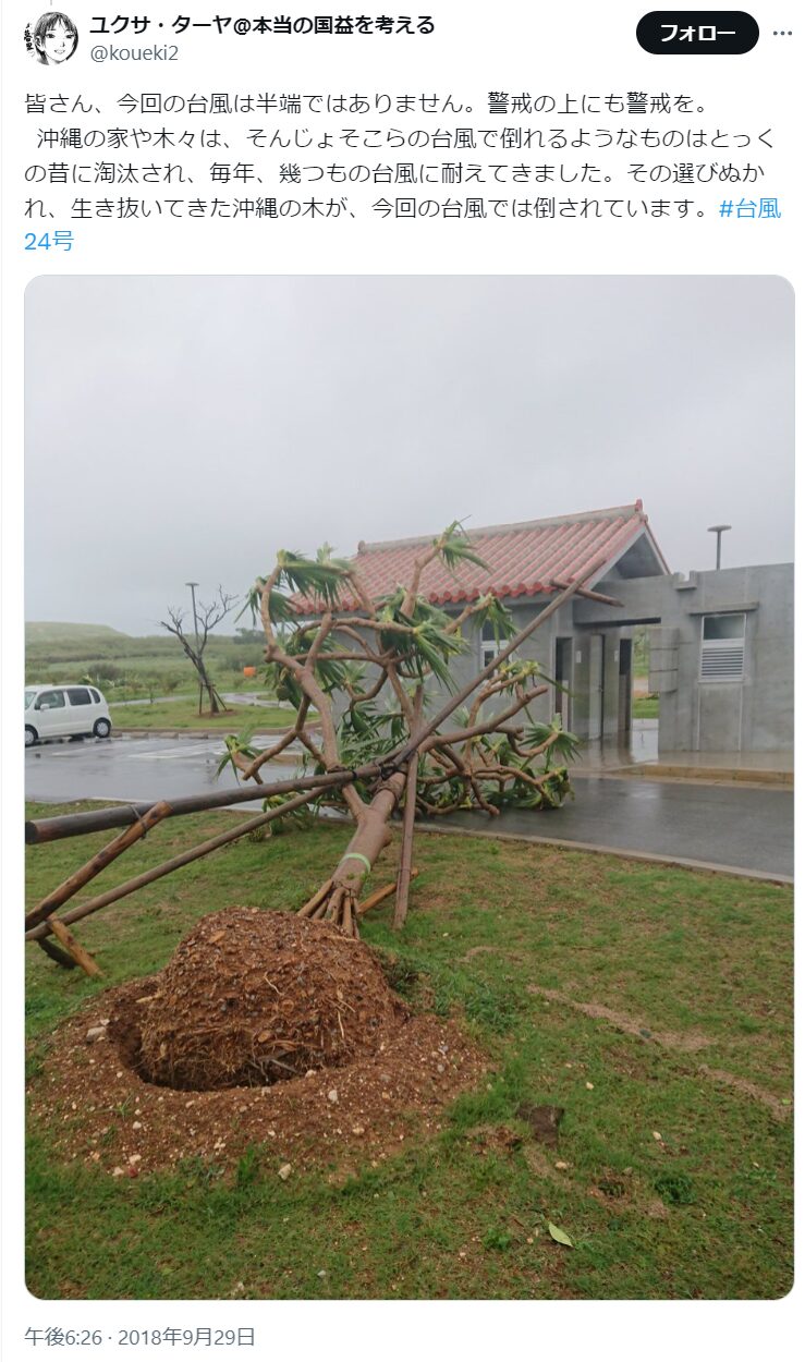 台風により倒れた木を紹介するポスト